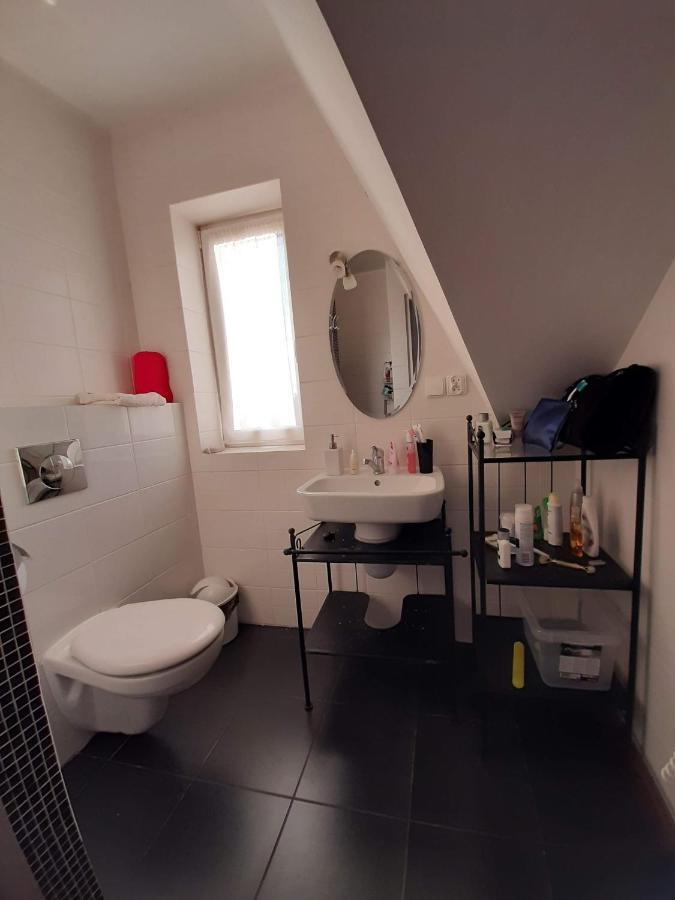 Ardo Vendeghaz Apartment Sárospatak Екстериор снимка